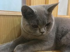 -壹人壹像工作室(购物公园店)
