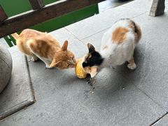 -东天目山风景区