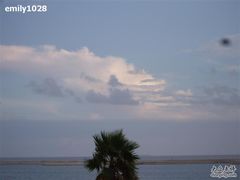 -碧海金沙