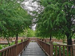 -五缘湾湿地公园