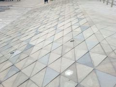 -东莞植物园