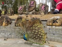 -千泷沟大瀑布旅游区