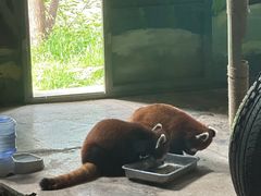-济南野生动物世界