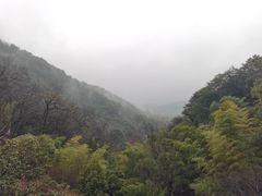 -韬光茶庵