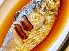 -蝶园·装修中(BFC外滩金融中心店)