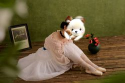 -懒猫摄影studio写真馆