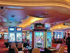 -拉斯维加斯永利酒店