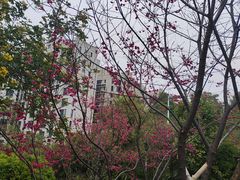 -厦门悦华酒店