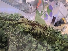 -海底捞火锅(万科广场店)