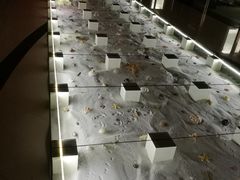 -青岛贝壳博物馆