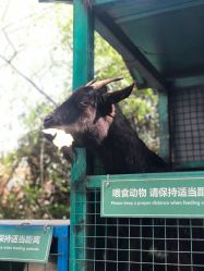 点击看大图 -可可天空农场(中大店)