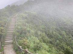 -梧桐山风景名胜区