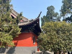 -洛阳白马寺