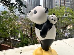 -嫩芽 ·地道重庆菜(十八梯露台夜景店)