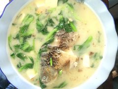 鲫鱼豆腐-瑶河山里菜