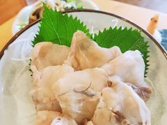 传统河鲀鱼火锅-天正河鲀·河豚亭(大连店)