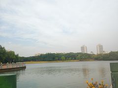 -黄兴公园