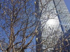 -中央广播电视总台(光华路办公区)