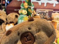 -酷乐潮玩(五道口购物中心店)