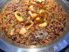 -胖子鱼·油泼甘谷辣子炝活鱼(秦州407店)