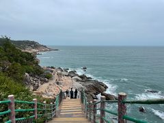 -广东惠东海龟国家级自然保护区