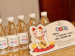-惠州康帝国际酒店