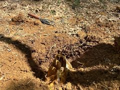 -宁波浙东大竹海景区