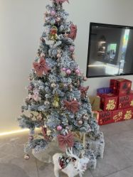 -VE专注问题肌·赛诺龙&科学美肤中心