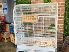 -大潮淮·淮扬菜(何园旗舰店)