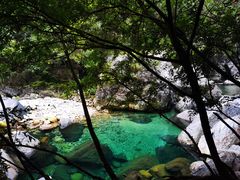 -石台牯牛降景区