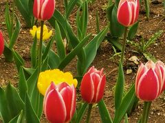 -长春公园(普阳街道)