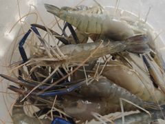 -粮心小农·大头虾亲子生态园(长发店)