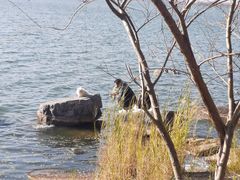 -西昌邛海湿地