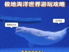 -石家庄极地海洋世界