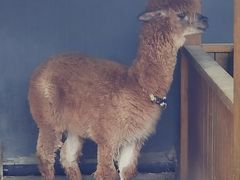 -瑞博尔花园酒店(太周创新产业园店)