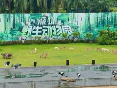 -深圳野生动物园