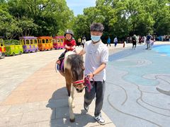 -杭州少年儿童公园