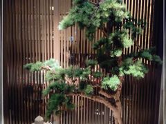 -老头儿油爆虾(星光一期店)