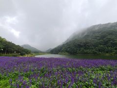 -广州市石门国家森林公园