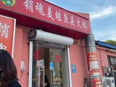 -销魂美蛙鱼头火锅(上海首店)