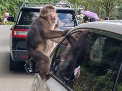 -西岭雪山大飞水景区