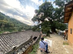 -杨家堂村