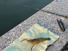 -DGE季风钓虾营地·团建·聚会