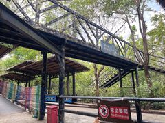 -海南槟榔谷黎苗文化旅游区