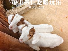 -呀路古热带植物园