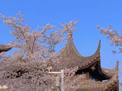 -苏州上方山国家森林公园