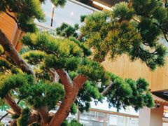 -绿草地·湘菜(酃湖师院店)