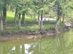 -长白岛森林公园