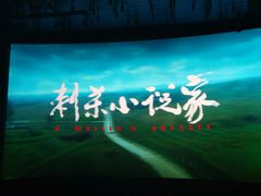 -武商摩尔影城(国广IMAX激光店)