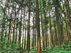 -凤栖山